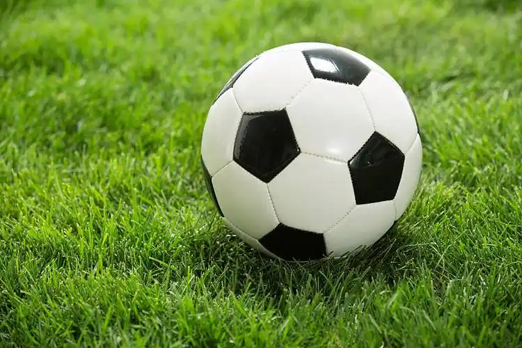 球探比分iPhone版功能界面演示